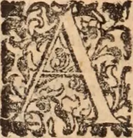 An illustration from De animalibus insectis libri septem : cum singulorum iconibus ad viuum expressis / autore Ulysse Aldrovando ... ; ad sereniss: Franc. Mariam Secundum ... (1602)