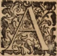 An illustration from De animalibus insectis libri septem : cum singulorum iconibus ad viuum expressis / autore Ulysse Aldrovando ... ; ad sereniss: Franc. Mariam Secundum ... (1602)