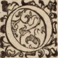 An illustration from De animalibus insectis libri septem : cum singulorum iconibus ad viuum expressis / autore Ulysse Aldrovando ... ; ad sereniss: Franc. Mariam Secundum ... (1602)