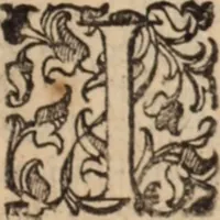 An illustration from De animalibus insectis libri septem : cum singulorum iconibus ad viuum expressis / autore Ulysse Aldrovando ... ; ad sereniss: Franc. Mariam Secundum ... (1602)