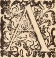 Picture 413 of 515 from De animalibus insectis libri septem : cum singulorum iconibus ad viuum expressis / autore Ulysse Aldrovando ... ; ad sereniss: Franc. Mariam Secundum ... (1602), leaf 657