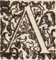 Picture 16 of 515 from De animalibus insectis libri septem : cum singulorum iconibus ad viuum expressis / autore Ulysse Aldrovando ... ; ad sereniss: Franc. Mariam Secundum ... (1602), leaf 67