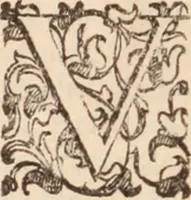 An illustration from De animalibus insectis libri septem : cum singulorum iconibus ad viuum expressis / autore Ulysse Aldrovando ... ; ad sereniss: Franc. Mariam Secundum ... (1602)