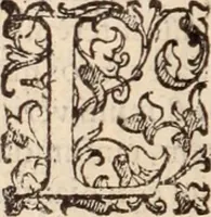 An illustration from De animalibus insectis libri septem : cum singulorum iconibus ad viuum expressis / autore Ulysse Aldrovando ... ; ad sereniss: Franc. Mariam Secundum ... (1602)