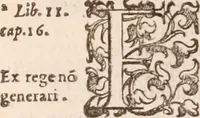 An illustration from De animalibus insectis libri septem : cum singulorum iconibus ad viuum expressis / autore Ulysse Aldrovando ... ; ad sereniss: Franc. Mariam Secundum ... (1602)