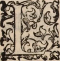 An illustration from De animalibus insectis libri septem : cum singulorum iconibus ad viuum expressis / autore Ulysse Aldrovando ... ; ad sereniss: Franc. Mariam Secundum ... (1602)