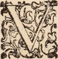 An illustration from De animalibus insectis libri septem : cum singulorum iconibus ad viuum expressis / autore Ulysse Aldrovando ... ; ad sereniss: Franc. Mariam Secundum ... (1602)