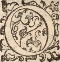 An illustration from De animalibus insectis libri septem : cum singulorum iconibus ad viuum expressis / autore Ulysse Aldrovando ... ; ad sereniss: Franc. Mariam Secundum ... (1602)