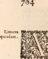 An illustration from De animalibus insectis libri septem : cum singulorum iconibus ad viuum expressis / autore Ulysse Aldrovando ... ; ad sereniss: Franc. Mariam Secundum ... (1602)