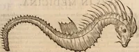 An illustration from De animalibus insectis libri septem : cum singulorum iconibus ad viuum expressis / autore Ulysse Aldrovando ... ; ad sereniss: Franc. Mariam Secundum ... (1602)