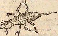 An illustration from De animalibus insectis libri septem : cum singulorum iconibus ad viuum expressis / autore Ulysse Aldrovando ... ; ad sereniss: Franc. Mariam Secundum ... (1602)