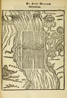 Picture 32 of 42 from De arte natandi libri duo : quorum prior regulas ipsius artis, posterior vero praxin demonstrationemque continet (1587), leaf 100