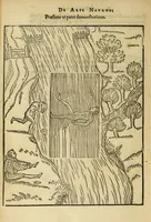 Picture 33 of 42 from De arte natandi libri duo : quorum prior regulas ipsius artis, posterior vero praxin demonstrationemque continet (1587), leaf 102