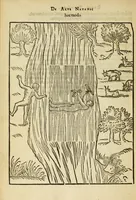 Picture 34 of 42 from De arte natandi libri duo : quorum prior regulas ipsius artis, posterior vero praxin demonstrationemque continet (1587), leaf 104