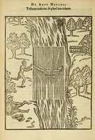 Picture 36 of 42 from De arte natandi libri duo : quorum prior regulas ipsius artis, posterior vero praxin demonstrationemque continet (1587), leaf 108