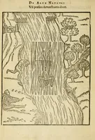 Picture 38 of 42 from De arte natandi libri duo : quorum prior regulas ipsius artis, posterior vero praxin demonstrationemque continet (1587), leaf 112