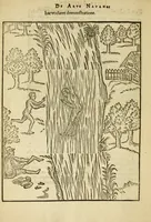 Picture 40 of 42 from De arte natandi libri duo : quorum prior regulas ipsius artis, posterior vero praxin demonstrationemque continet (1587), leaf 116