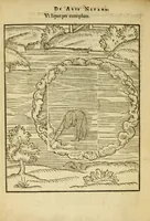 Picture 41 of 42 from De arte natandi libri duo : quorum prior regulas ipsius artis, posterior vero praxin demonstrationemque continet (1587), leaf 118