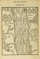 Picture 2 of 42 from De arte natandi libri duo : quorum prior regulas ipsius artis, posterior vero praxin demonstrationemque continet (1587), leaf 42