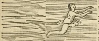 Picture 4 of 42 from De arte natandi libri duo : quorum prior regulas ipsius artis, posterior vero praxin demonstrationemque continet (1587), leaf 43