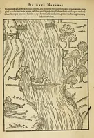 Picture 5 of 42 from De arte natandi libri duo : quorum prior regulas ipsius artis, posterior vero praxin demonstrationemque continet (1587), leaf 44
