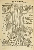 Picture 6 of 42 from De arte natandi libri duo : quorum prior regulas ipsius artis, posterior vero praxin demonstrationemque continet (1587), leaf 45