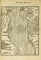 Picture 10 of 42 from De arte natandi libri duo : quorum prior regulas ipsius artis, posterior vero praxin demonstrationemque continet (1587), leaf 54