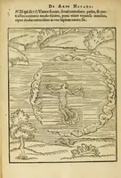 Picture 11 of 42 from De arte natandi libri duo : quorum prior regulas ipsius artis, posterior vero praxin demonstrationemque continet (1587), leaf 56