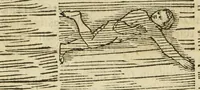 An illustration from De arte natandi libri duo : quorum prior regulas ipsius artis, posterior vero praxin demonstrationemque continet (1587)