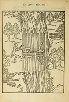 Picture 14 of 42 from De arte natandi libri duo : quorum prior regulas ipsius artis, posterior vero praxin demonstrationemque continet (1587), leaf 60