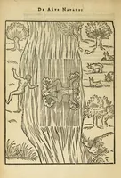 Picture 15 of 42 from De arte natandi libri duo : quorum prior regulas ipsius artis, posterior vero praxin demonstrationemque continet (1587), leaf 62