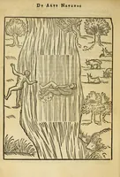 Picture 16 of 42 from De arte natandi libri duo : quorum prior regulas ipsius artis, posterior vero praxin demonstrationemque continet (1587), leaf 64