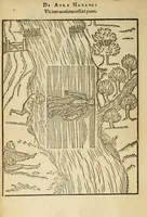 Picture 17 of 42 from De arte natandi libri duo : quorum prior regulas ipsius artis, posterior vero praxin demonstrationemque continet (1587), leaf 66