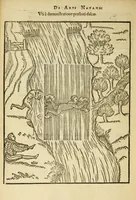 Picture 20 of 42 from De arte natandi libri duo : quorum prior regulas ipsius artis, posterior vero praxin demonstrationemque continet (1587), leaf 72