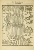 Picture 21 of 42 from De arte natandi libri duo : quorum prior regulas ipsius artis, posterior vero praxin demonstrationemque continet (1587), leaf 74