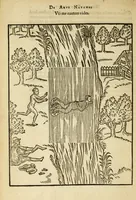 Picture 22 of 42 from De arte natandi libri duo : quorum prior regulas ipsius artis, posterior vero praxin demonstrationemque continet (1587), leaf 76
