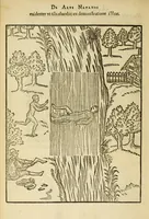 Picture 24 of 42 from De arte natandi libri duo : quorum prior regulas ipsius artis, posterior vero praxin demonstrationemque continet (1587), leaf 82