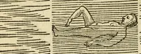 An illustration from De arte natandi libri duo : quorum prior regulas ipsius artis, posterior vero praxin demonstrationemque continet (1587)