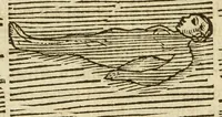 Picture 27 of 42 from De arte natandi libri duo : quorum prior regulas ipsius artis, posterior vero praxin demonstrationemque continet (1587), leaf 86