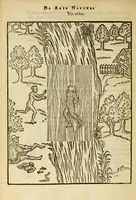 Picture 28 of 42 from De arte natandi libri duo : quorum prior regulas ipsius artis, posterior vero praxin demonstrationemque continet (1587), leaf 88