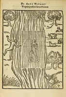 Picture 29 of 42 from De arte natandi libri duo : quorum prior regulas ipsius artis, posterior vero praxin demonstrationemque continet (1587), leaf 90