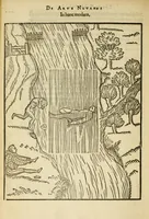 Picture 30 of 42 from De arte natandi libri duo : quorum prior regulas ipsius artis, posterior vero praxin demonstrationemque continet (1587), leaf 92