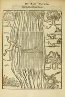 Picture 31 of 42 from De arte natandi libri duo : quorum prior regulas ipsius artis, posterior vero praxin demonstrationemque continet (1587), leaf 96