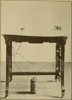 An illustration from Death : the meaning and result (1901)