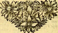 An illustration from De beginselen van Gods koninkryk in den mensch : uytgedrukt in verscheide zinne-beelden : als mede een Alleenspraake met God : benevens eenige Stigtelyke rymen (1738)