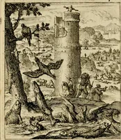 An illustration from De beginselen van Gods koninkryk in den mensch : uitgedrukt in zinnebeelden (1689)