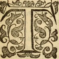 Picture 8 of 42 from De bello belgico : the history of the Low-Countrey warres (1650), leaf 16