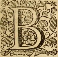 Picture 25 of 42 from De bello belgico : the history of the Low-Countrey warres (1650), leaf 166