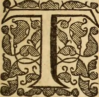 Picture 29 of 42 from De bello belgico : the history of the Low-Countrey warres (1650), leaf 206