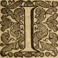 Picture 41 of 42 from De bello belgico : the history of the Low-Countrey warres (1650), leaf 324